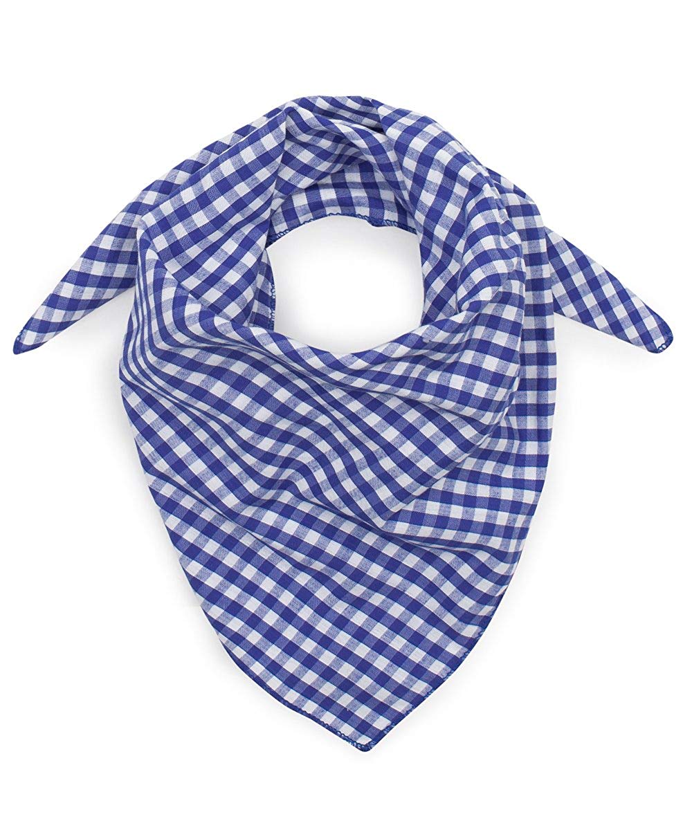 Small Blue Check Neckerchief