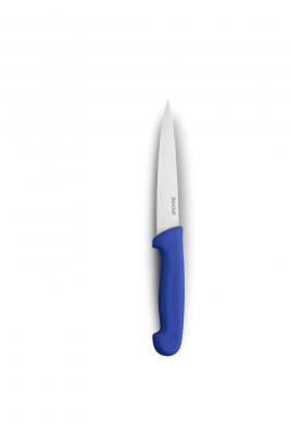 Filet Knife 6
